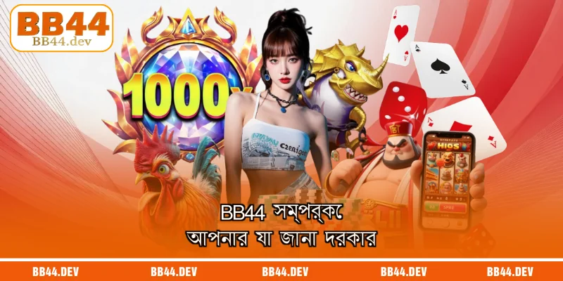 BB44 সম্পর্কে আপনার যা জানা দরকার